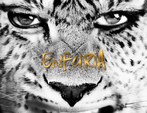 Enfuria