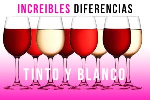 10 diferencias entre vino tinto y vino blanco