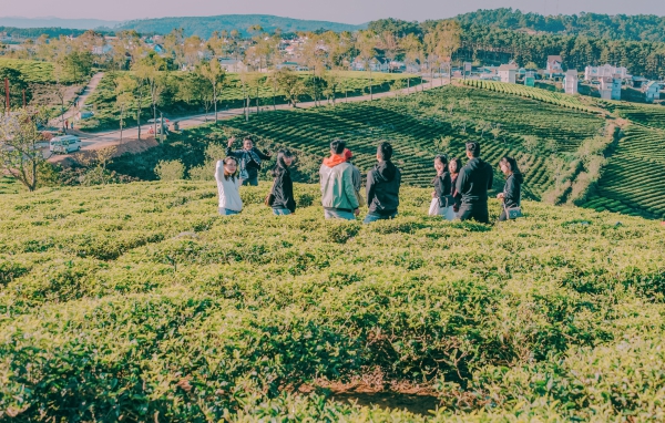 4 best wine tasting tours while traveling