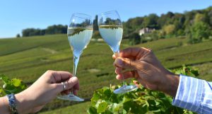 Catar vinos mientras viajas champagne francia