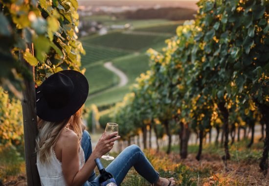 Previsiones para una transformación del sector del vino en 2026